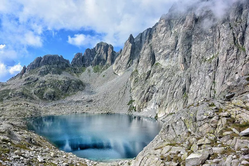 Cima D'asta
